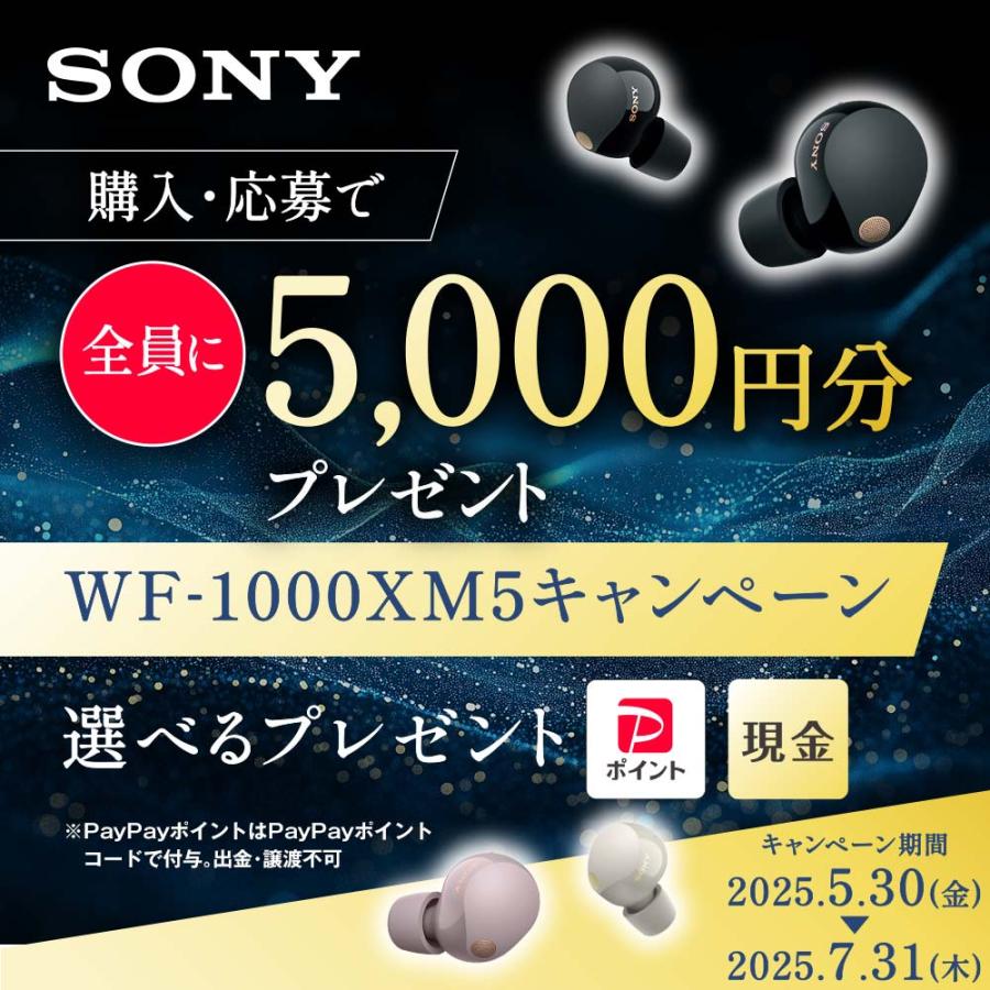 SONY（ソニー） 【在庫限り】SONY WF-1000XM5 ワイヤレスイヤホン