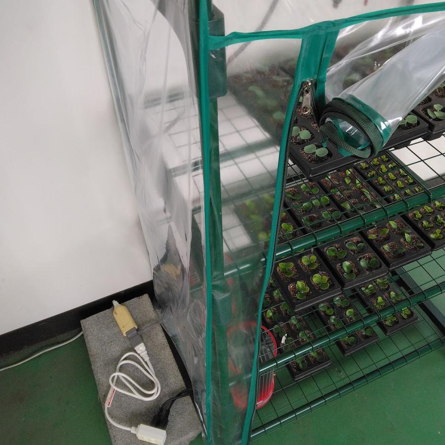 パネルヒーター 500W 12Fサーモ付 SPF-500 昭和精機工業 園芸用