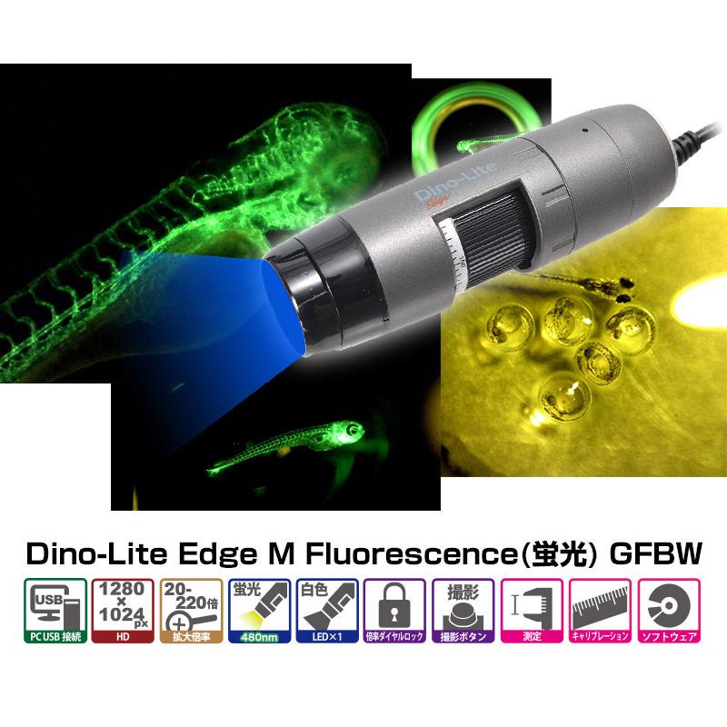 THANKO DINOLITE DINOAM4115TGFBW 特殊用途USB有線式デジタルマイクロ