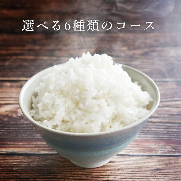 山善（YAMAZEN） 炊飯器 5.5合炊き ビジュいい 炊飯器 5合 一人暮らし