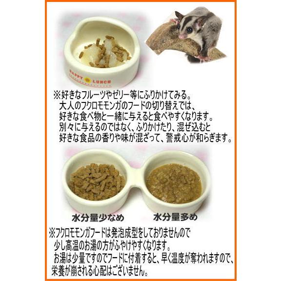 三晃商会]フクロモモンガフード 300g : 小動物用品専門店e-ペット屋