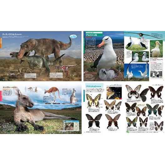 講談社の動く図鑑 MOVE（ 全巻DVDつき） セット 既11巻 : 脳トレ生活