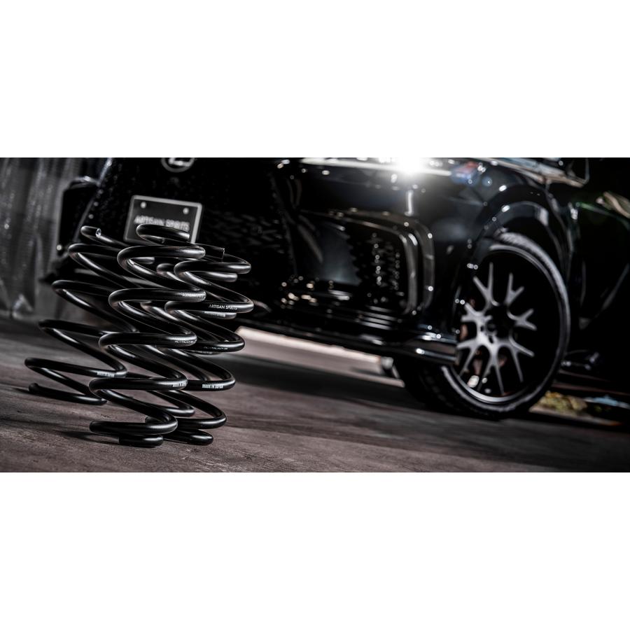 レクサス（LEXUS） 【M's】 RX500h TALH17 2022- ARTISAN SPIRITS