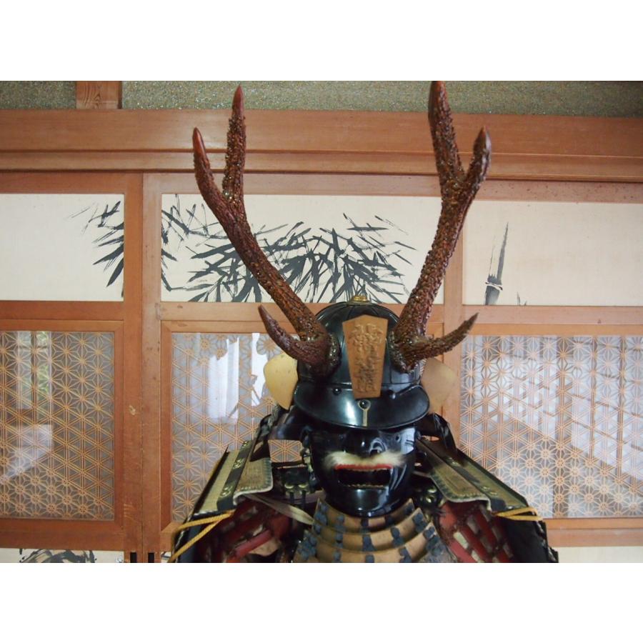 昭和レトロ 戦国名将 鹿角変わり十二間兜 赤塗二枚胴具足 実寸 5月人形