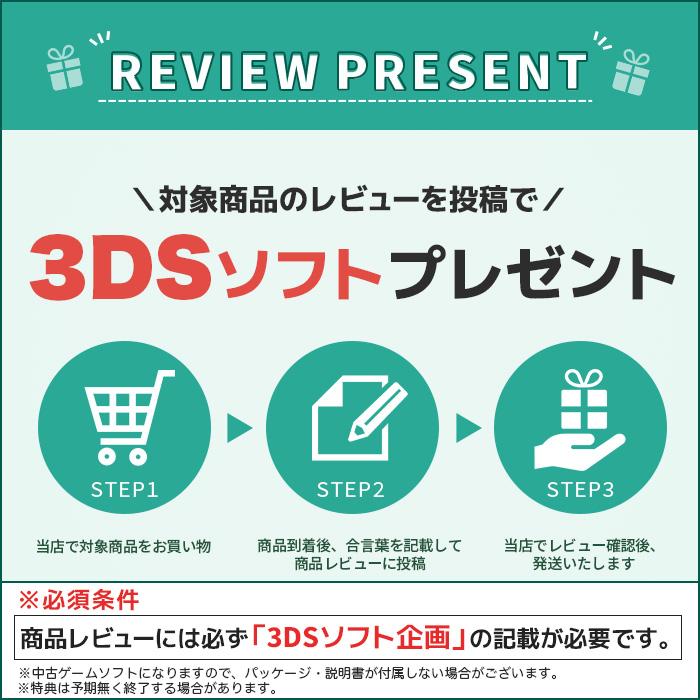 任天堂（Nintendo） 3DS 本体 ニンテンドー3DS 中古 充電器 タッチペン