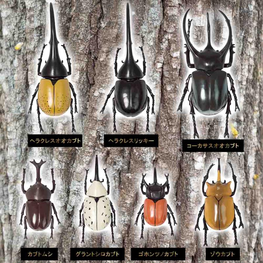 カブトムシ おもちゃ リアル 昆虫 フィギュアセット 子供会 景品 ご