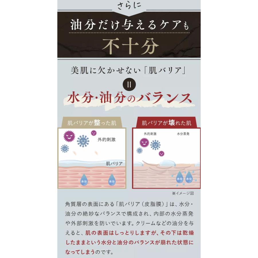 定期購入】アクシリオ アクアテクトゲル250g 【アースケア公式】化粧水