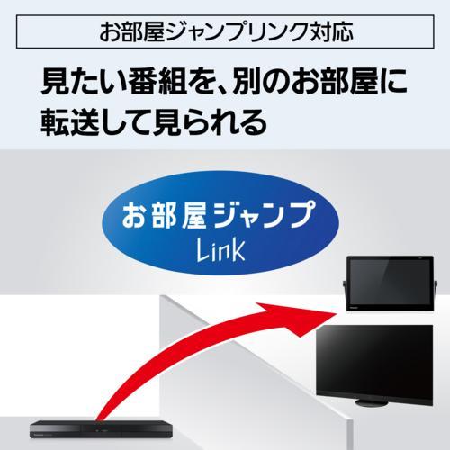 パナソニック Panasonic DMR-2W203 DIGA どこでもディーガ ブルーレイ