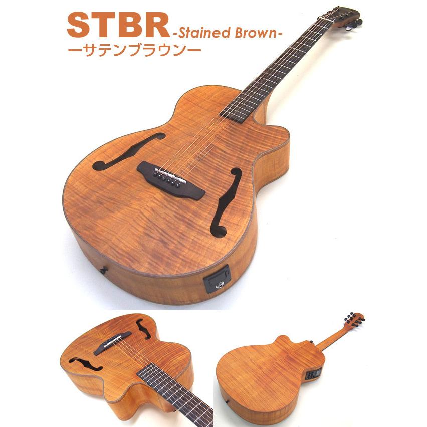 ARIA（アリア） エレアコ アコギ ARIA FET-F2 エレクトリック