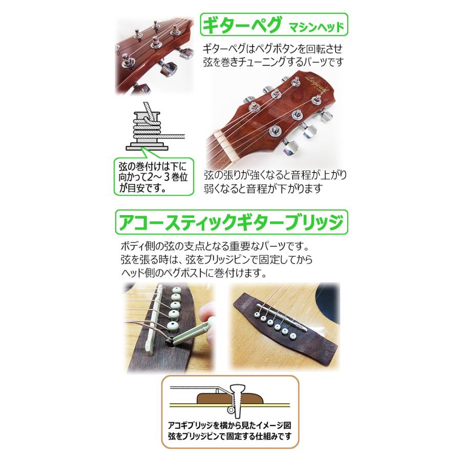 ARIA（アリア） アコースティックギター アコギ 初心者 超入門 9点