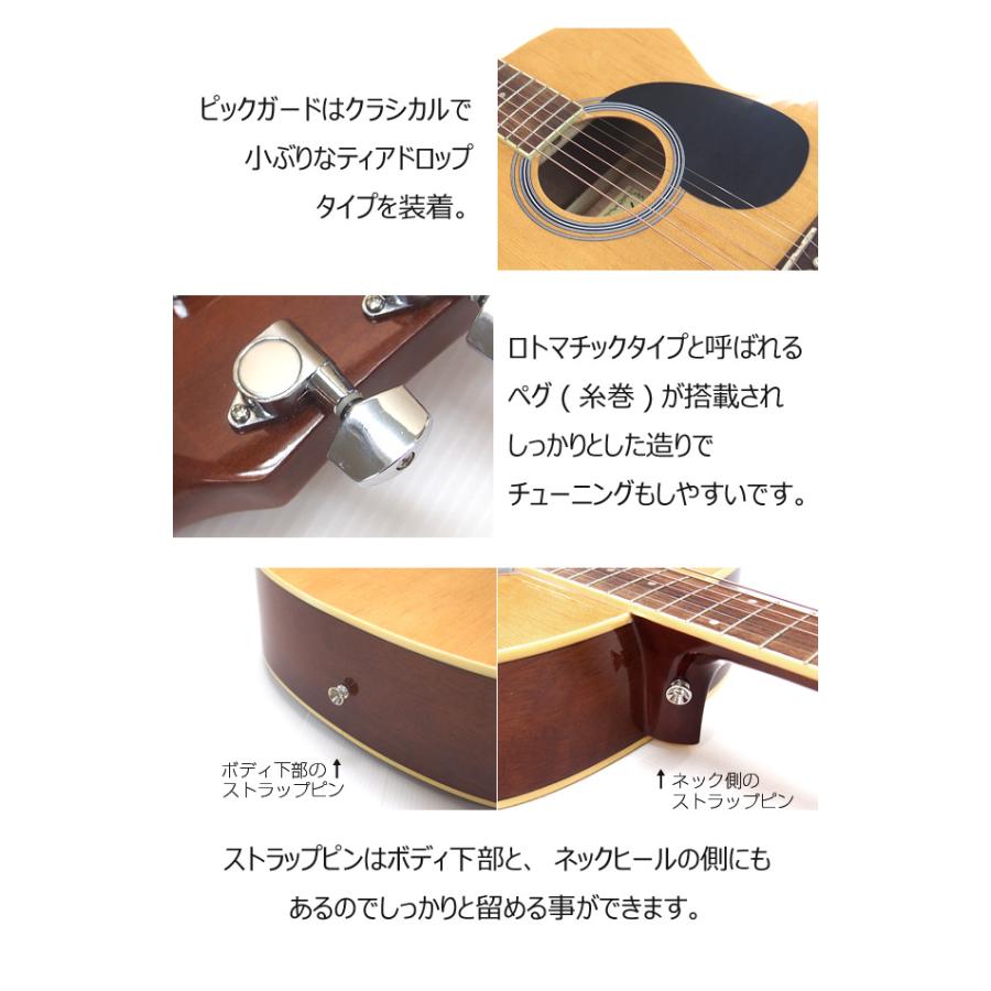 ARIA（アリア） アコースティックギター 初心者 セット 13点 Legend