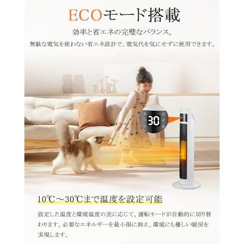 セラミックヒーター 電気ファンヒーター セラミックファンヒーター