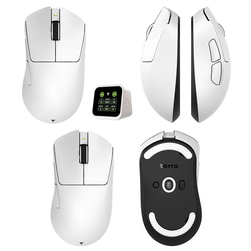 Teevolution TERRA PRO - 8K INCLUDED ゲーミングマウス White ティー