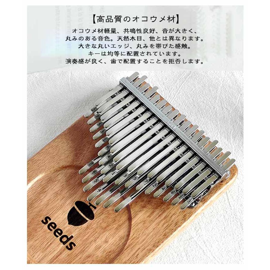41音 カリンバ 初心者セット 親指ピアノ サムピアノ 楽譜 教本 入門書