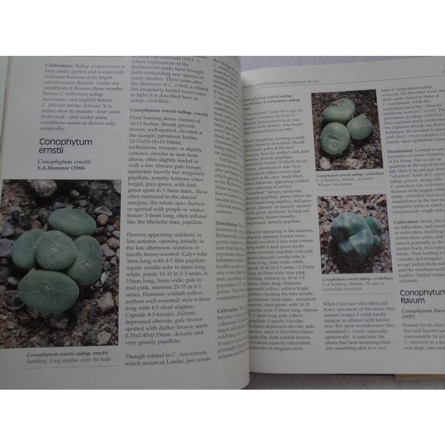 多肉植物 洋書 Genus Conophytum A Conograph Steven Hammer