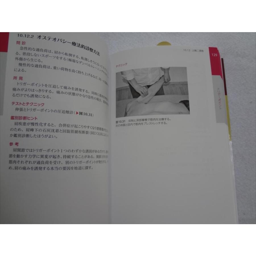 筋筋膜トリガーポイント ポケットアトラス 本 筋肉の解剖学的概要