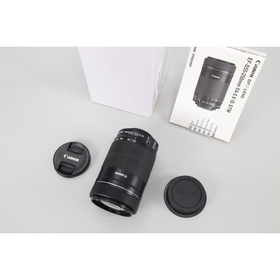 実用品｜動作保証] Canon EF-S55-250mm F4-5.6 IS STM : リユースの