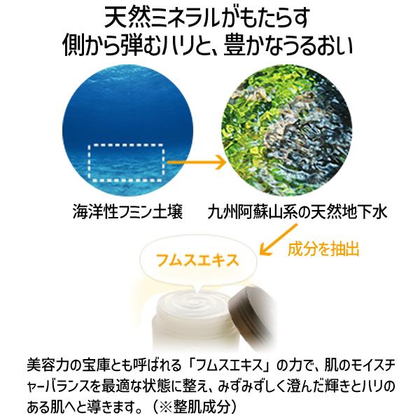 在庫 4943995014644 EBM ESスキンクリームS 100g スキンケア フェイス