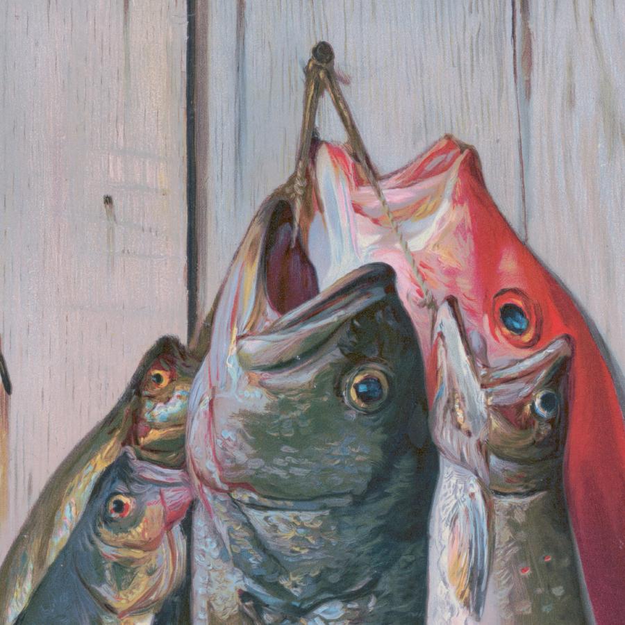 アート ビンテージ ヴィンテージ 魚イラスト アンティークイラスト