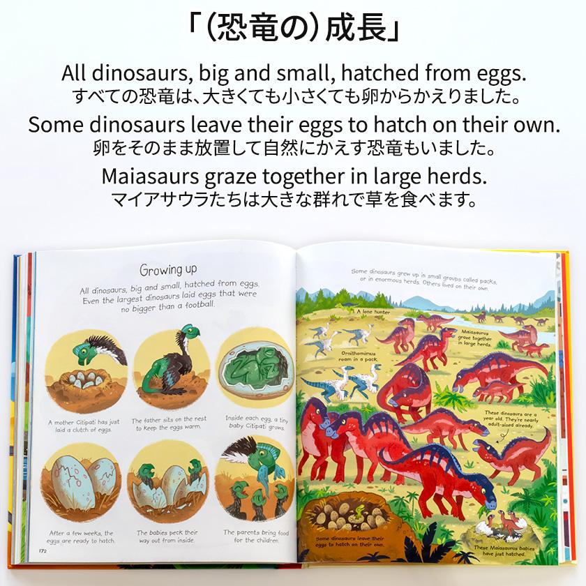 イギリスの子ども百科事典 Usborne My First Encyclopedia 英語 小学生