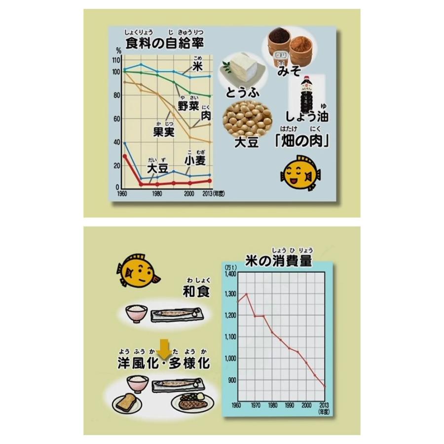 わかるよ！ 日本の産業1 小学生の社会 交通 人口 農林水産業 DVD 送料