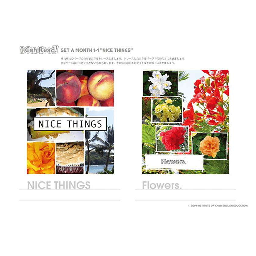 パルキッズプリスクーラーYEAR1 リーディングセット フォニックス