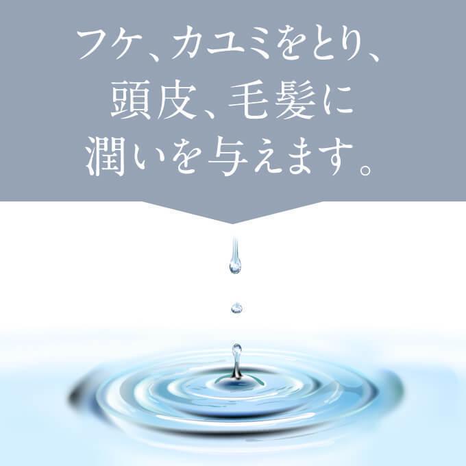 HiRoko Science（ヒロコ サイエンス） ヒロコスカルプシャンプ 300mL 2