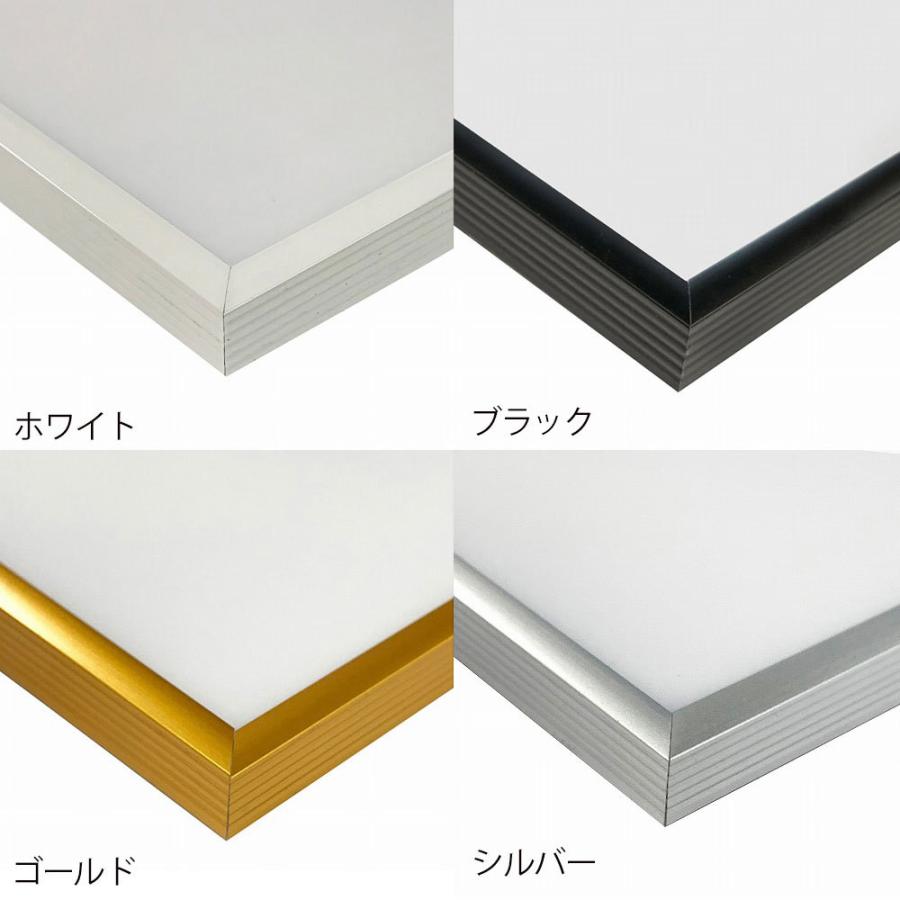 額縁 FIT FRAME【515mm × 728mm：B2サイズ】アルミ製額縁／ポスター