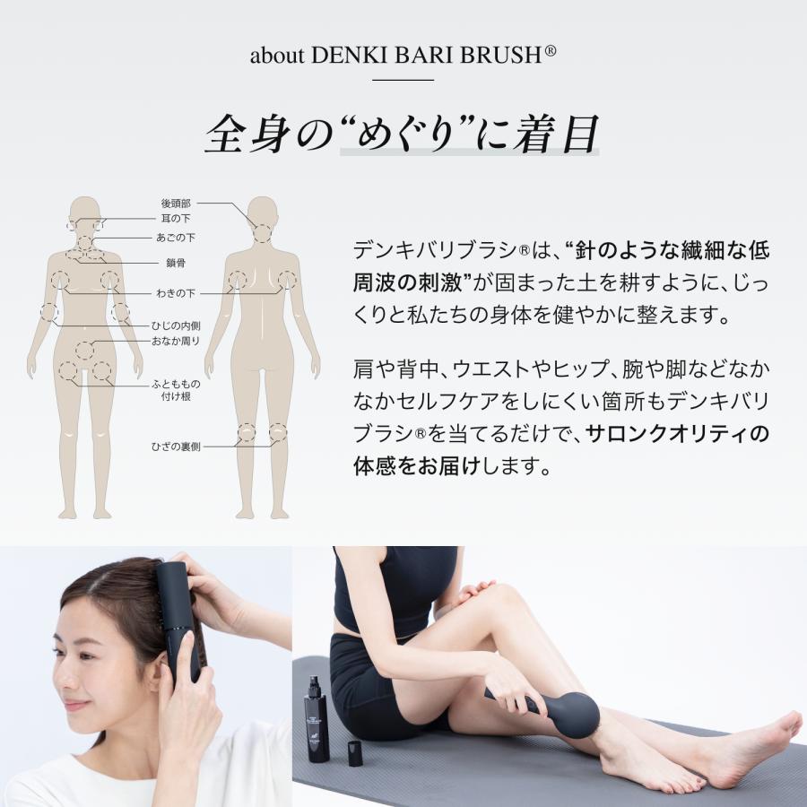 ELECTRON（エレクトロン） エレクトロン公式 デンキバリブラシ(R)2.0＋