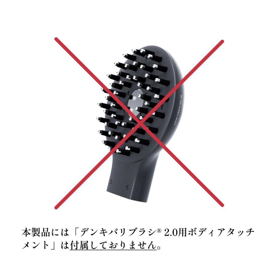 ELECTRON（エレクトロン） エレクトロン公式 デンキバリブラシ (R) 2.0