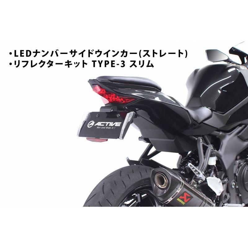 アクティブ フェンダーレスキット ブラック LEDナンバー灯付 KAWASAKI