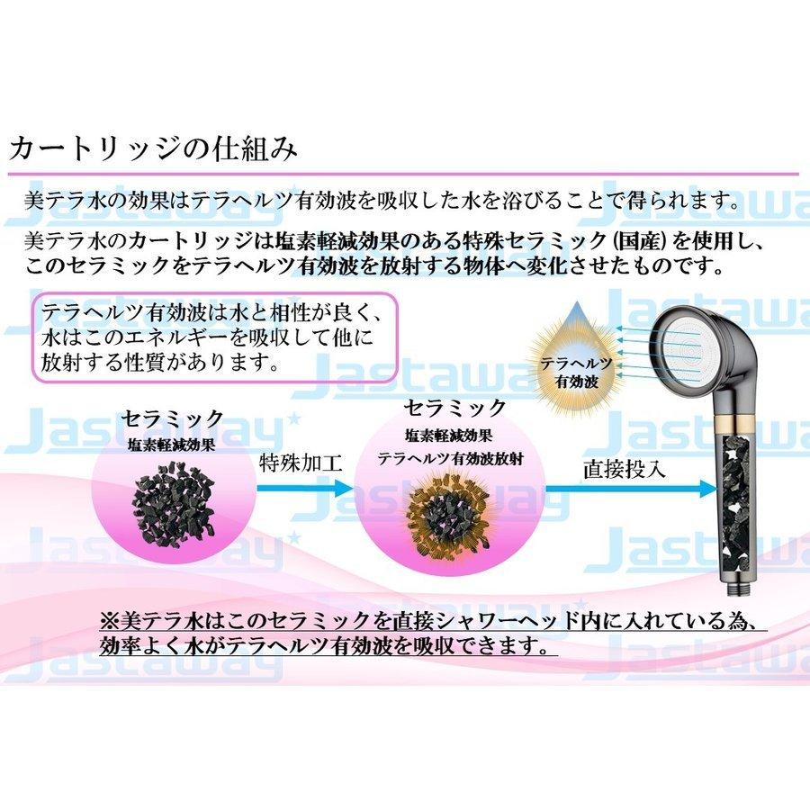美テラ水 テラヘルツ有効波シャワーヘッド カートリッジ交換不要