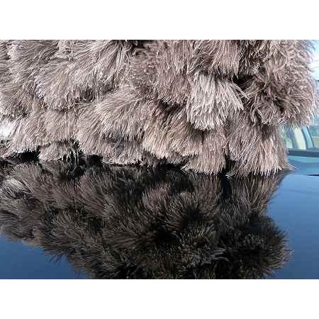 毛ばたき オーストリッチ梅 : 毛ばたき専門ESCI - 通販 - Yahoo