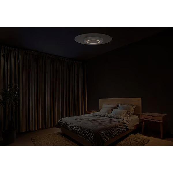 IRIS OHYAMA（アイリスオーヤマ） LED シーリングライト パネルライト