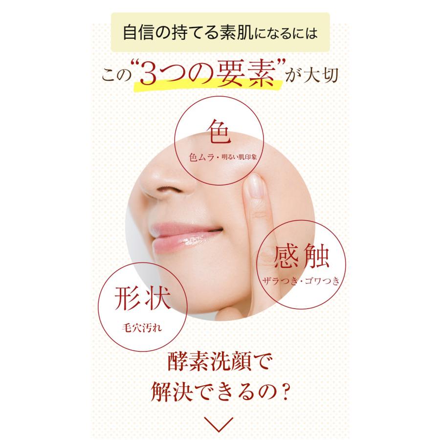 パパウォッシュ 酵素パウダー ベーシック 60g ( 2ヶ月分 ) 酵素 粉洗顔