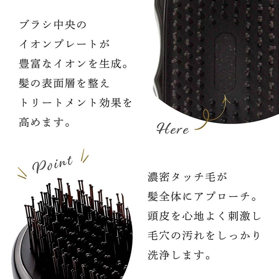 ReFa（リファ） イオンケアブラシ プレミアム ブラック 名入れ代込