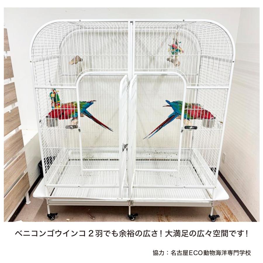 決算セール！半額！バードケージ 鳥かご 大型 IRCGB050 大型商品につき