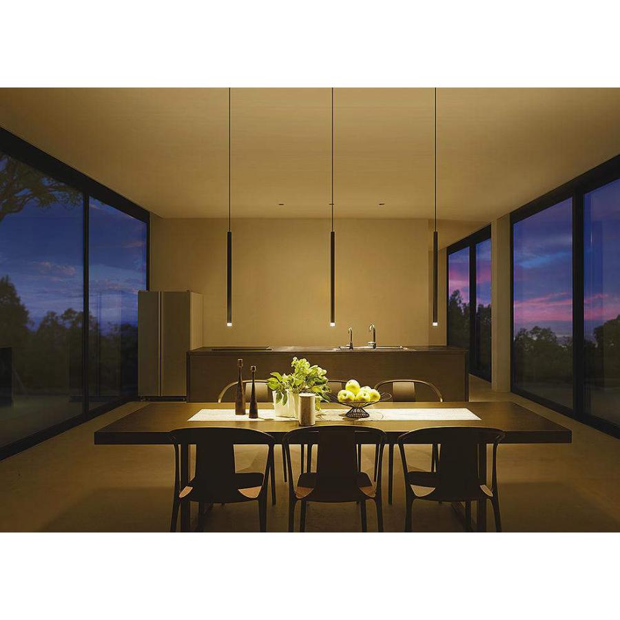 照明 おしゃれ 大光電機 DAIKO ペンダントライト DPN-41579Y ダクト