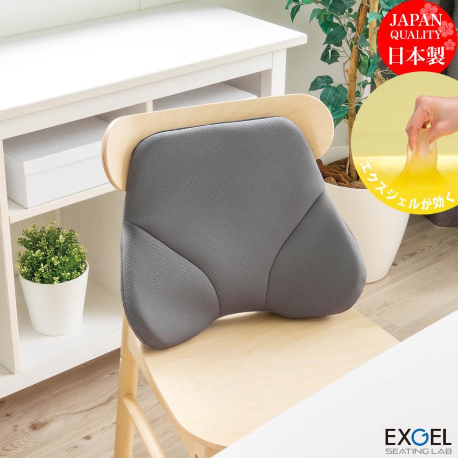 EXGEL（エクスジェル） ジェルクッション クッション 腰 姿勢 腰痛