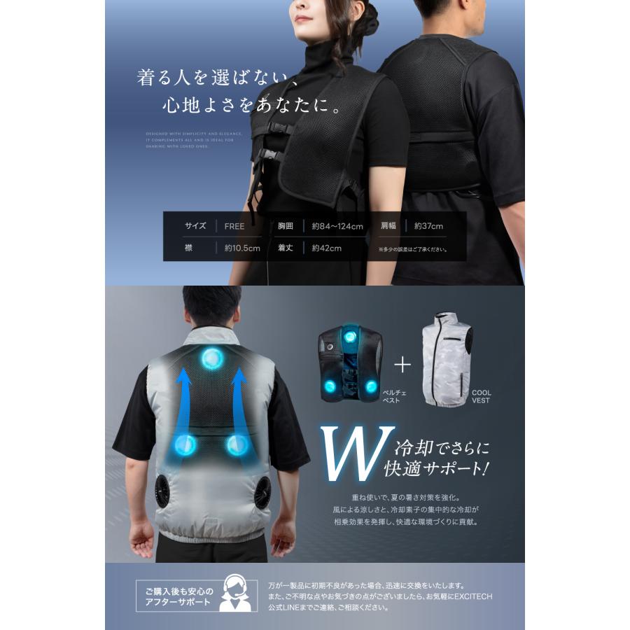 EXCITECH (ポイント15%還元中) 2025年最新モデル ペルチェ ベスト