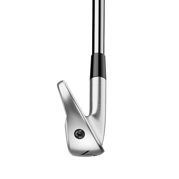 TaylorMade（テーラーメイド） P790 2025 アイアン 5本セット(#6-PW