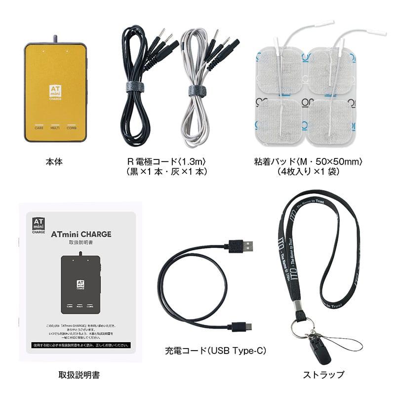 伊藤超短波 AT-mini CHARGE ( AT ミニ チャージ ) 本体セット