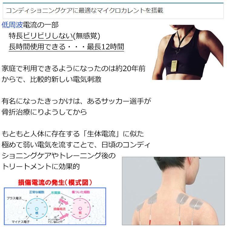 伊藤超短波 AT-mini Personal II エイティミニパーソナル2 マイクロ