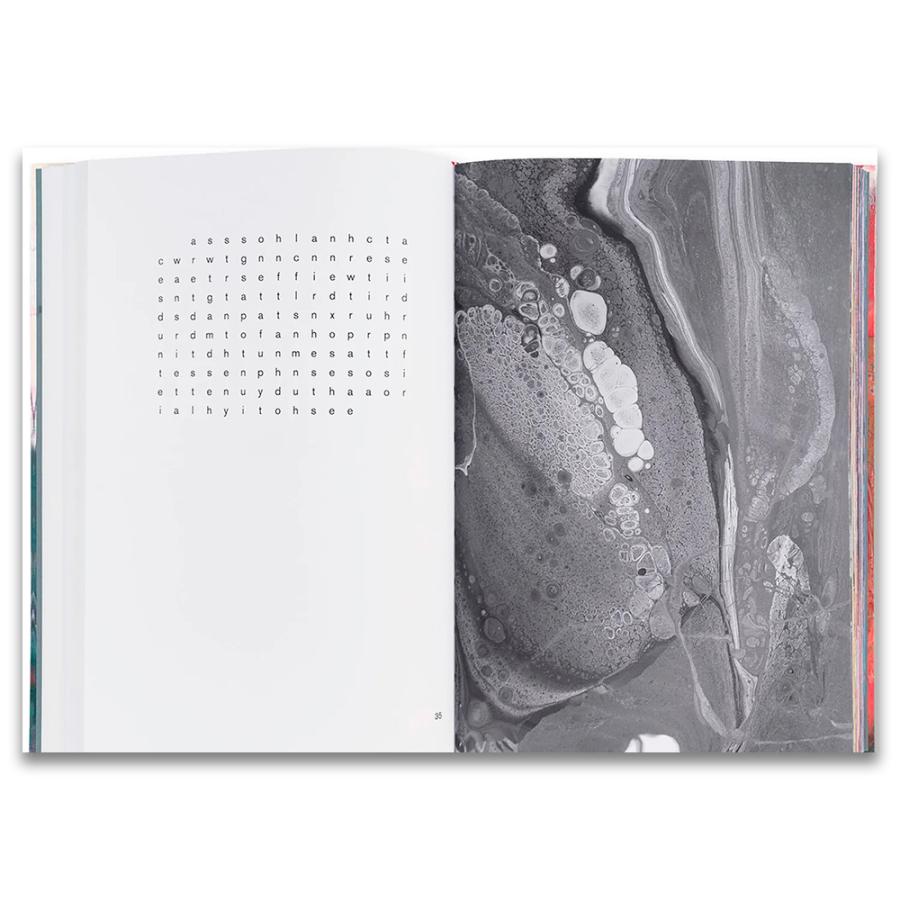 100 ABSTRACT PICTURES Gerhard Richter ゲルハルト・リヒター 作品集