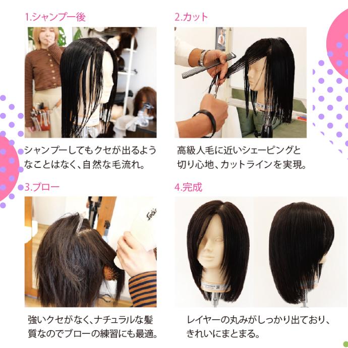 Ciカットウィッグ ベーシック 01 人毛100％ (毛量100g) 1個【カット