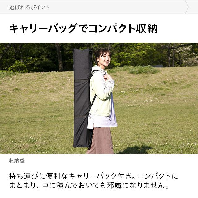 AND・DECO タープテント 3m オーニング オーニングタイプ シルバー