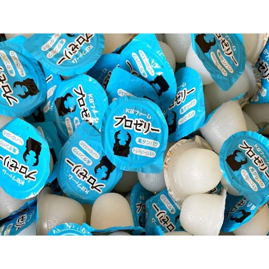昆虫ゼリー プロゼリー16g 200個（バラ）入り KBファーム製 : 有限会社