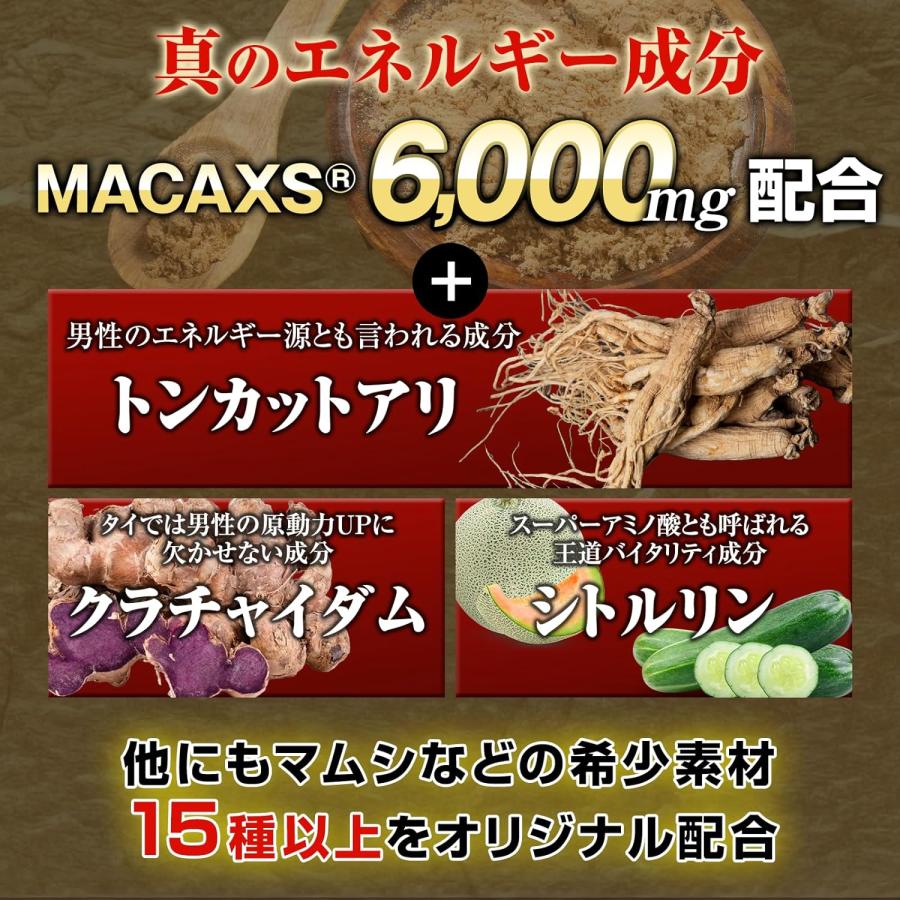 マカライズスター マカライズ マカ MACARISE PLUS 45粒 15日分