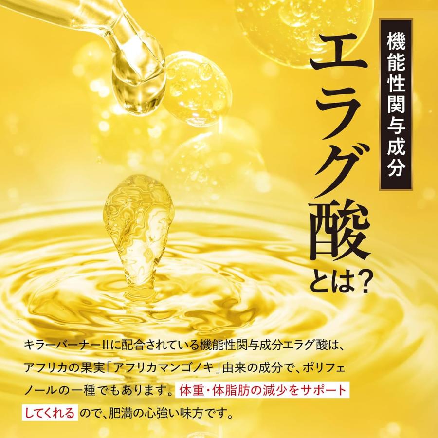 キラーバーナー2 ダイエットサプリ 倖田來未 プロデュース 1袋45粒