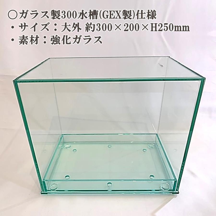 2wayクラフトBOXセット(架台・水槽) dda クワガタ カブトムシ 飼育